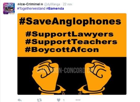 hashtag-cameroun-twitter-2016-36